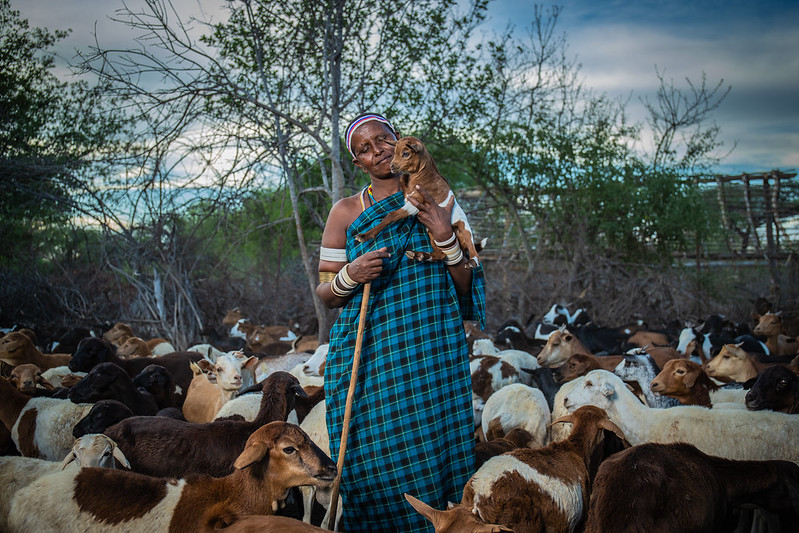 Un projet financé par l'USAID a utilisé une application mobile et un logiciel pour suivre la vente et le transfert des droits fonciers en Tanzanie. La technologie de la blockchain peut également servir à l’enregistrement des titres fonciers. Crédit photo : Riaz Jahanpour pour USAID / Digital Development Communications.